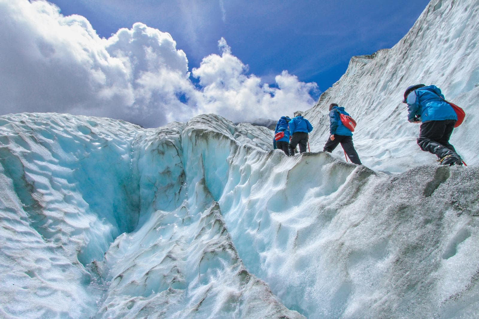 Franz Glacier
