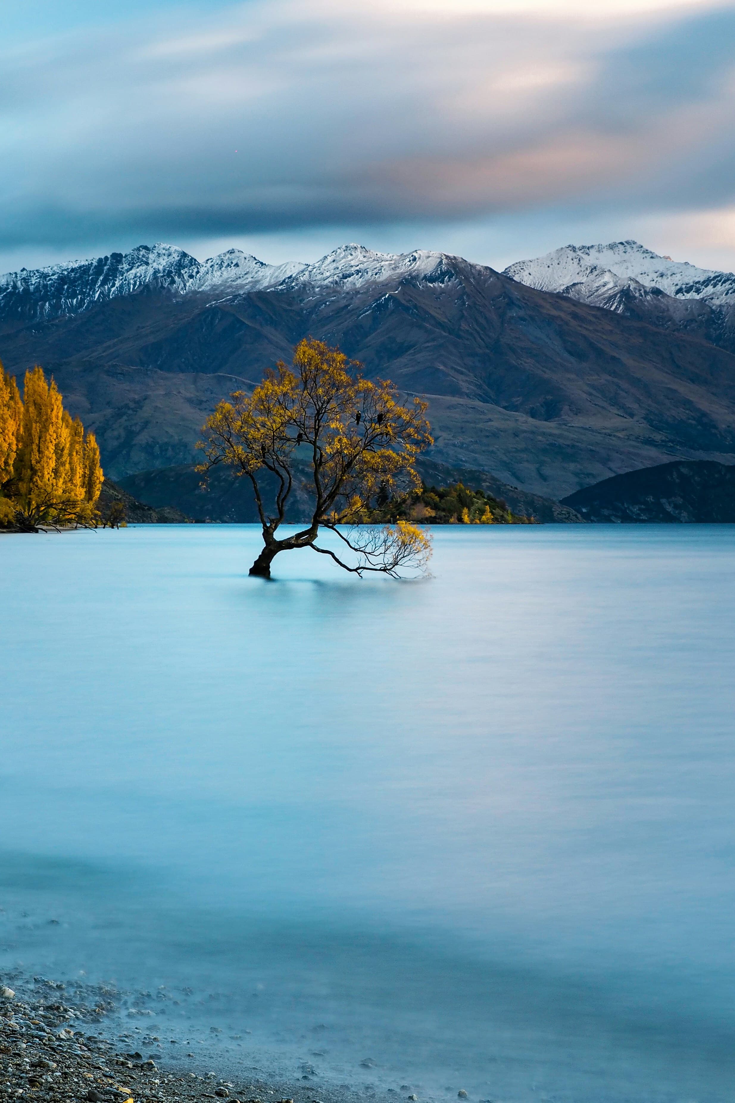 Wanaka